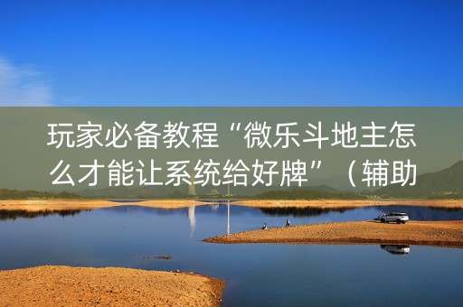 玩家必备教程“微乐斗地主怎么才能让系统给好牌”（辅助器通用版)
