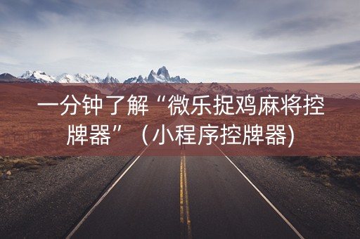 一分钟了解“微乐捉鸡麻将控牌器”（小程序控牌器)