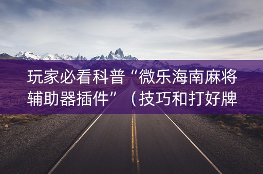 玩家必看科普“微乐海南麻将辅助器插件”（技巧和打好牌方法)