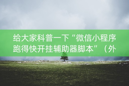 给大家科普一下“微信小程序跑得快开挂辅助器脚本”（外辅工具)