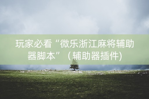 玩家必看“微乐浙江麻将辅助器脚本”（辅助器插件)