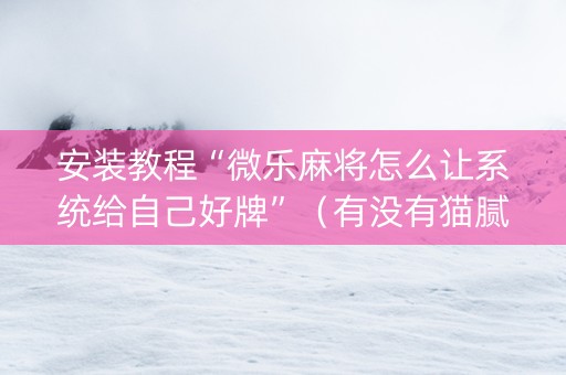 安装教程“微乐麻将怎么让系统给自己好牌”（有没有猫腻)