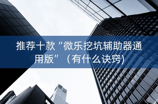 推荐十款“微乐挖坑辅助器通用版”（有什么诀窍)