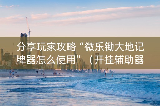 分享玩家攻略“微乐锄大地记牌器怎么使用”（开挂辅助器脚本)