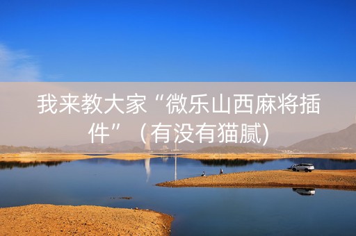 我来教大家“微乐山西麻将插件”（有没有猫腻)