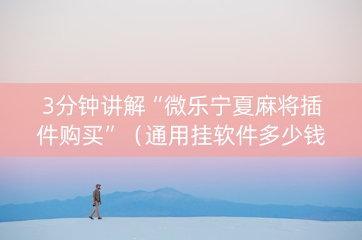 3分钟讲解“微乐宁夏麻将插件购买”（通用挂软件多少钱)