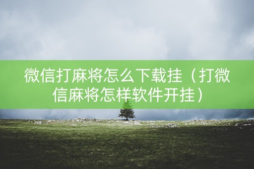 微信打麻将怎么下载挂（打微信麻将怎样软件开挂）
