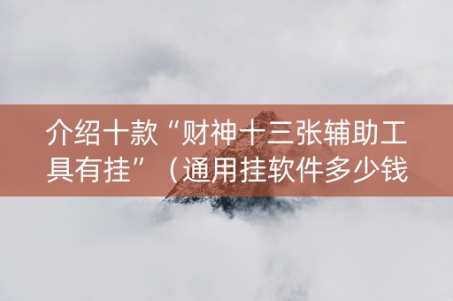 介绍十款“财神十三张辅助工具有挂”（通用挂软件多少钱)