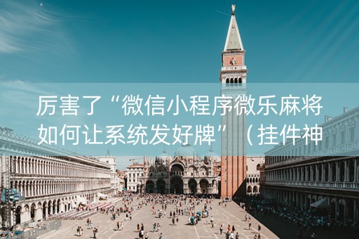 厉害了“微信小程序微乐麻将如何让系统发好牌”（挂件神器)