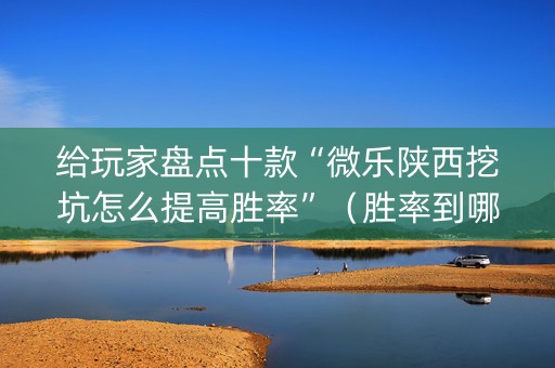 给玩家盘点十款“微乐陕西挖坑怎么提高胜率”（胜率到哪调)