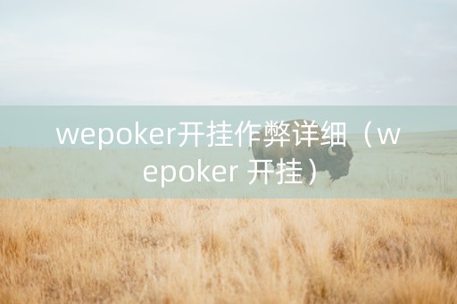 wepoker开挂作弊详细（wepoker 开挂）