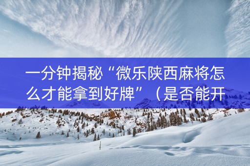 一分钟揭秘“微乐陕西麻将怎么才能拿到好牌”（是否能开挂)