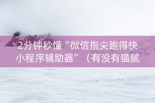 2分钟秒懂“微信指尖跑得快小程序辅助器”（有没有猫腻)