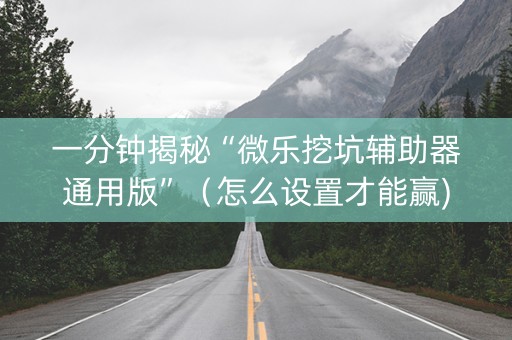 一分钟揭秘“微乐挖坑辅助器通用版”（怎么设置才能赢)