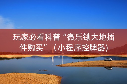 玩家必看科普“微乐锄大地插件购买”（小程序控牌器)