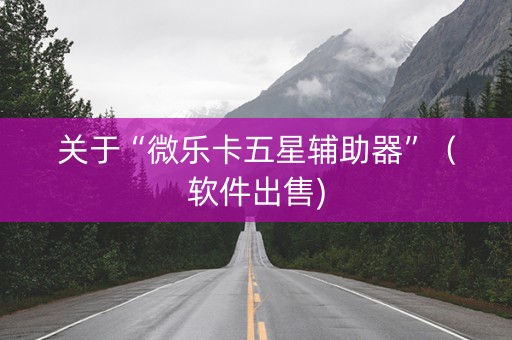 关于“微乐卡五星辅助器”（软件出售)