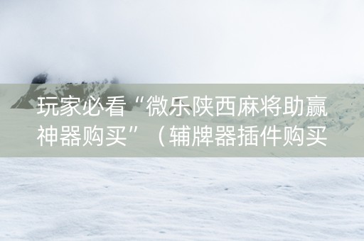 玩家必看“微乐陕西麻将助赢神器购买”（辅牌器插件购买)