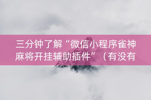 三分钟了解“微信小程序雀神麻将开挂辅助插件”（有没有猫腻)