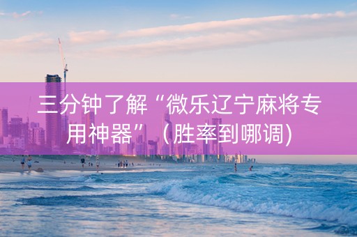 三分钟了解“微乐辽宁麻将专用神器”（胜率到哪调)