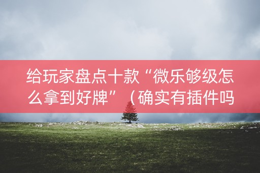 给玩家盘点十款“微乐够级怎么拿到好牌”（确实有插件吗)