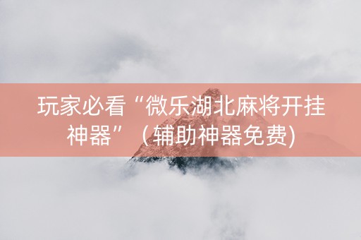 玩家必看“微乐湖北麻将开挂神器”（辅助神器免费)