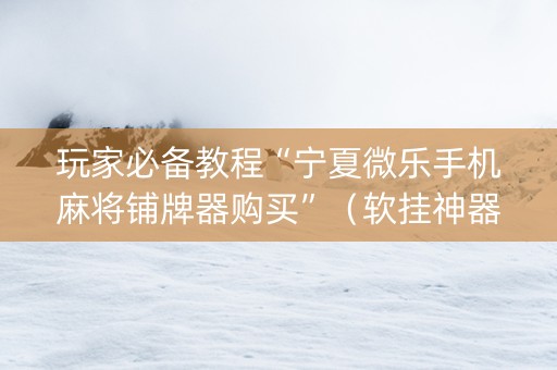 玩家必备教程“宁夏微乐手机麻将铺牌器购买”（软挂神器)