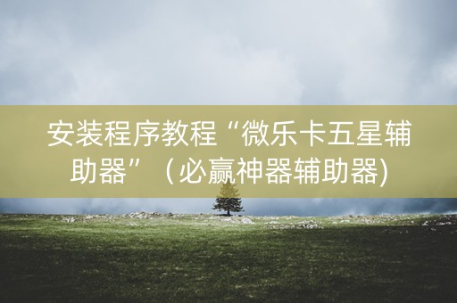 安装程序教程“微乐卡五星辅助器”（必赢神器辅助器)