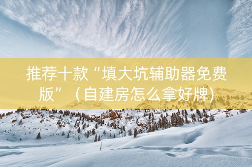 推荐十款“填大坑辅助器免费版”（自建房怎么拿好牌)