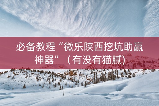 必备教程“微乐陕西挖坑助赢神器”（有没有猫腻)