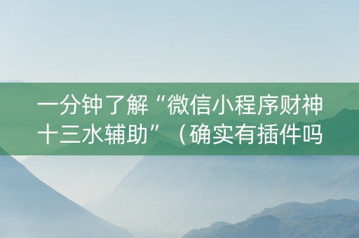 一分钟了解“微信小程序财神十三水辅助”（确实有插件吗)