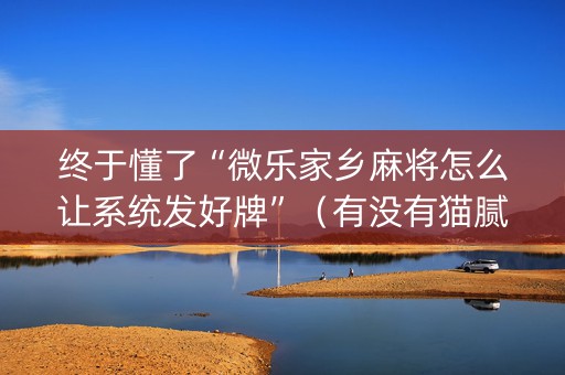 终于懂了“微乐家乡麻将怎么让系统发好牌”（有没有猫腻)