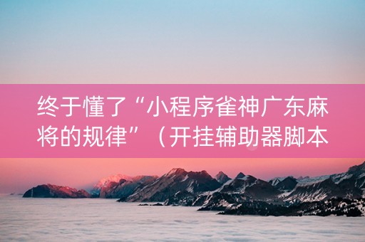 终于懂了“小程序雀神广东麻将的规律”（开挂辅助器脚本)