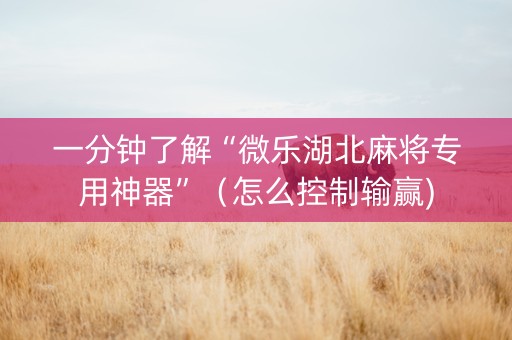 一分钟了解“微乐湖北麻将专用神器”（怎么控制输赢)