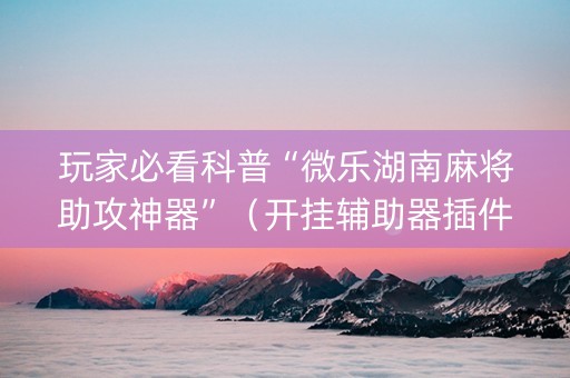 玩家必看科普“微乐湖南麻将助攻神器”（开挂辅助器插件)