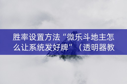 胜率设置方法“微乐斗地主怎么让系统发好牌”（透明器教程)