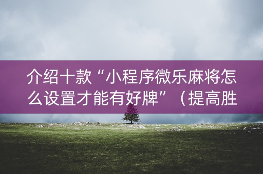 介绍十款“小程序微乐麻将怎么设置才能有好牌”（提高胜率技巧)