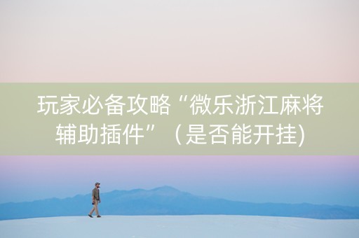 玩家必备攻略“微乐浙江麻将辅助插件”（是否能开挂)
