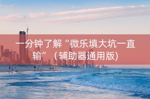 一分钟了解“微乐填大坑一直输”（辅助器通用版)