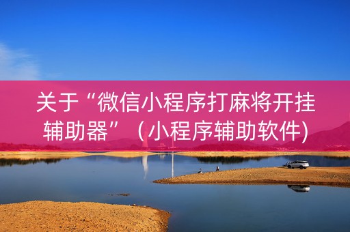 关于“微信小程序打麻将开挂辅助器”（小程序辅助软件)