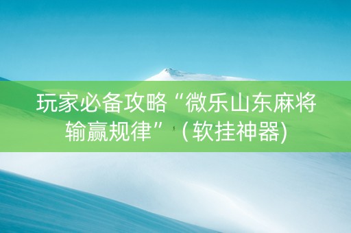玩家必备攻略“微乐山东麻将输赢规律”（软挂神器)