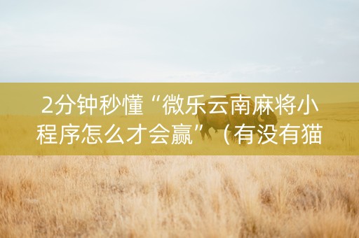 2分钟秒懂“微乐云南麻将小程序怎么才会赢”（有没有猫腻)