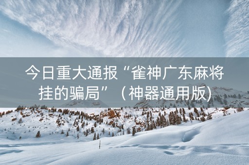 今日重大通报“雀神广东麻将挂的骗局”（神器通用版)