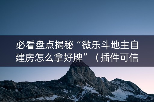 必看盘点揭秘“微乐斗地主自建房怎么拿好牌”（插件可信吗)