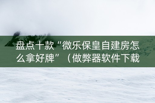 盘点十款“微乐保皇自建房怎么拿好牌”（做弊器软件下载)