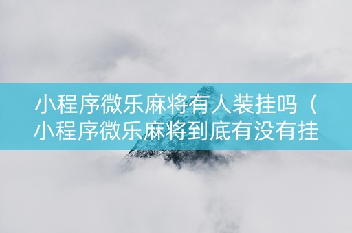小程序微乐麻将有人装挂吗（小程序微乐麻将到底有没有挂）