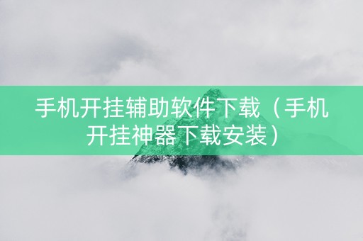 手机开挂辅助软件下载（手机开挂神器下载安装）