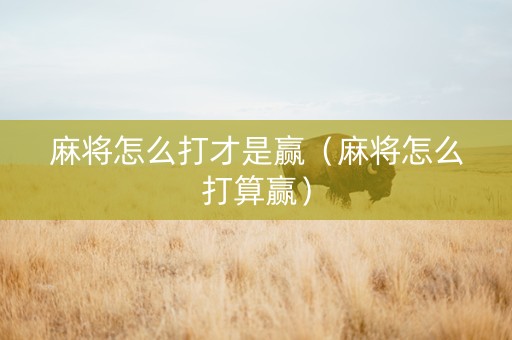 麻将怎么打才是赢（麻将怎么打算赢）