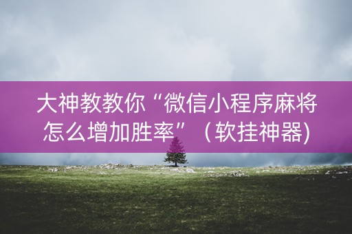 大神教教你“微信小程序麻将怎么增加胜率”（软挂神器)