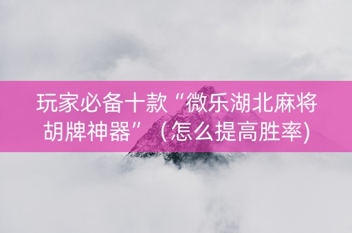 玩家必备十款“微乐湖北麻将胡牌神器”（怎么提高胜率)