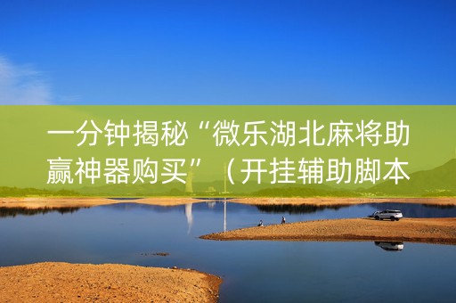 一分钟揭秘“微乐湖北麻将助赢神器购买”（开挂辅助脚本)